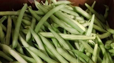 Green Beans - 11811518_506046466220205_5984280522257539124_n