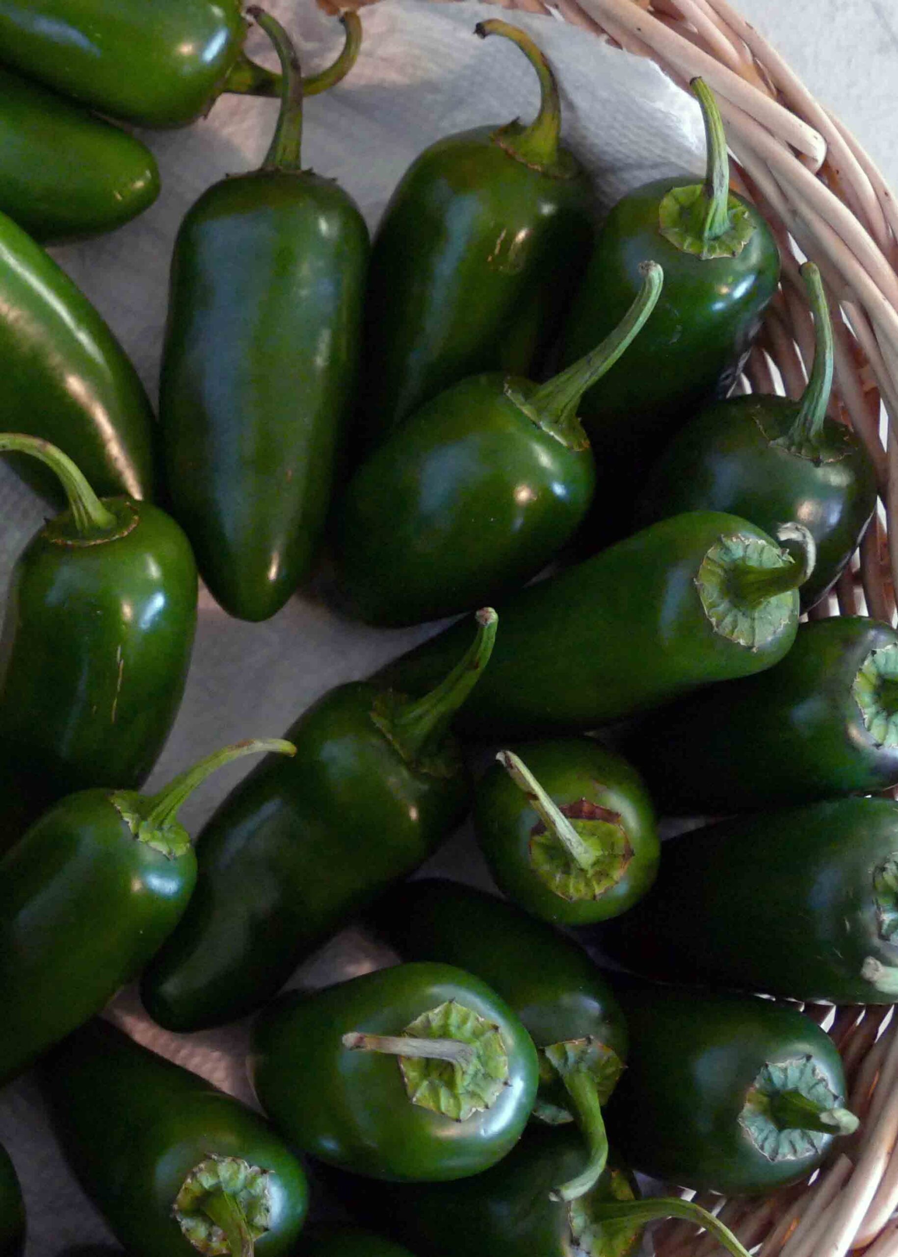 Halepino-Peppers---P1880464