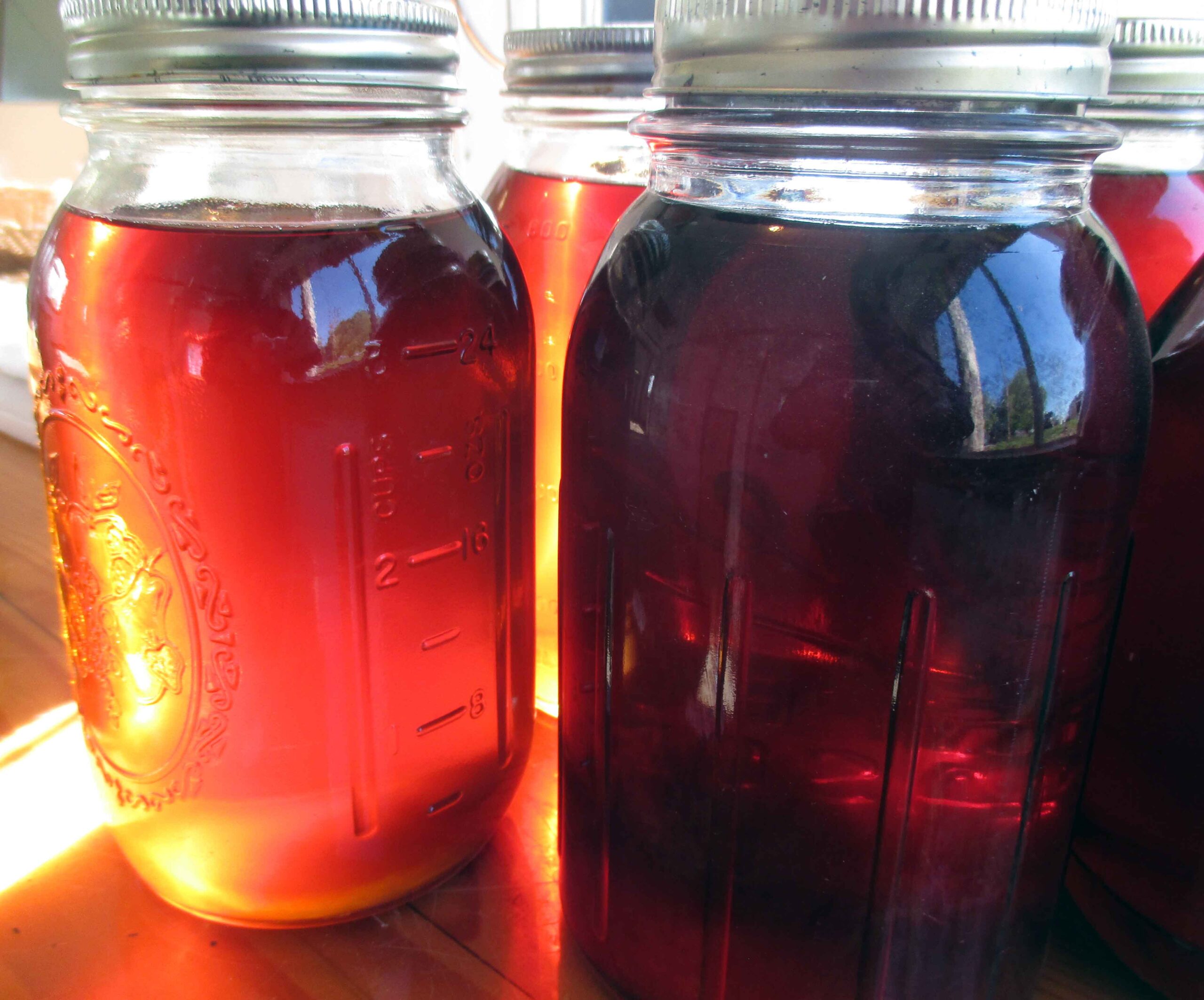 Honey---Jar---IMG_4148