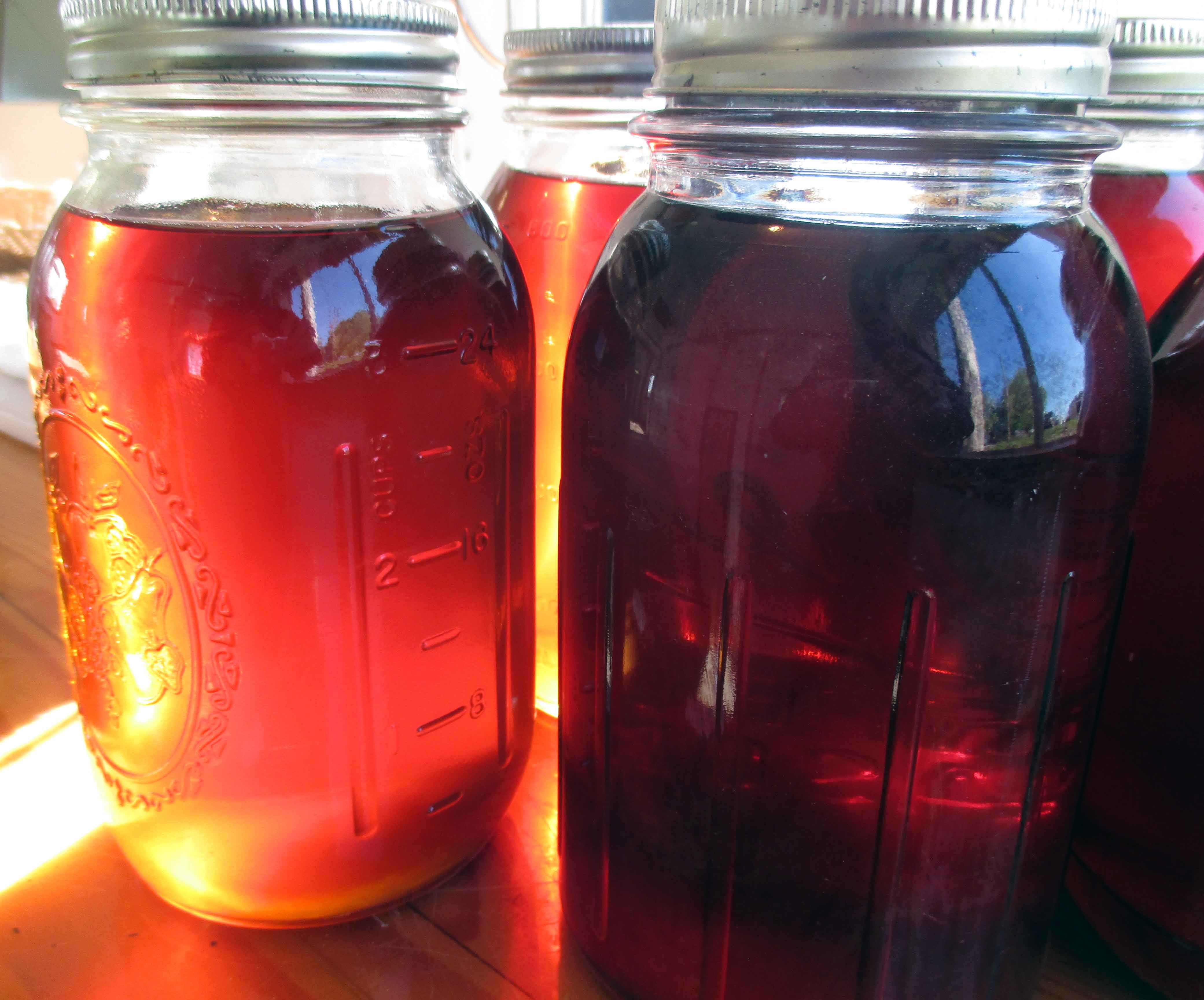 Honey Quart All Good Organics Farm Store