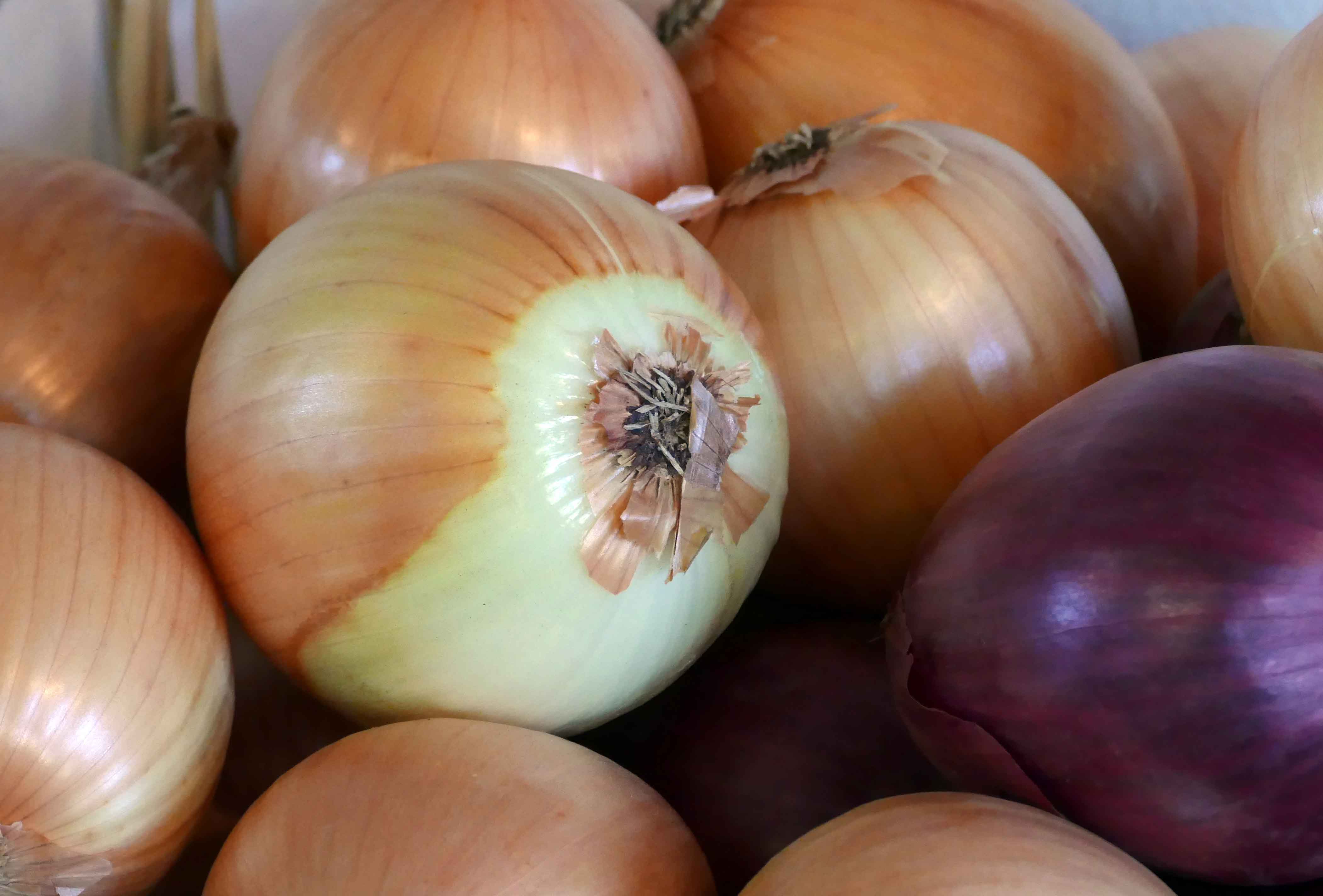 Onions Yellow All Good Organics Farm Store