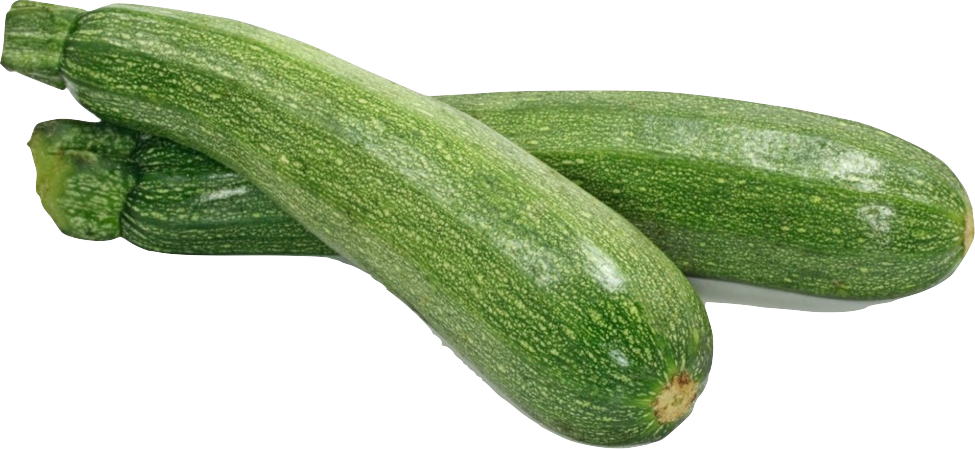 zucchini-1
